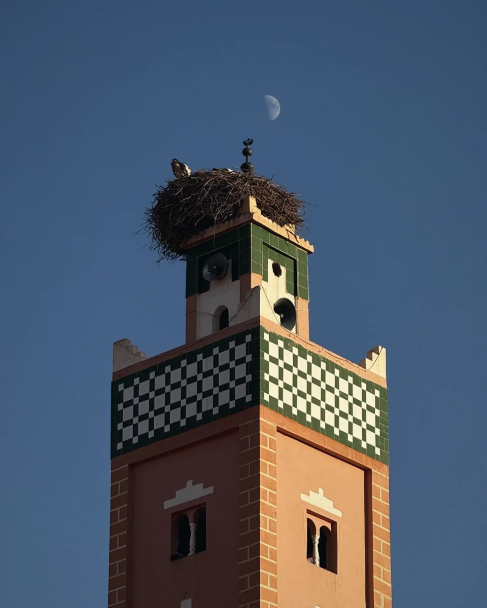 A tiled minaret topped by a stork's nest under a half moon