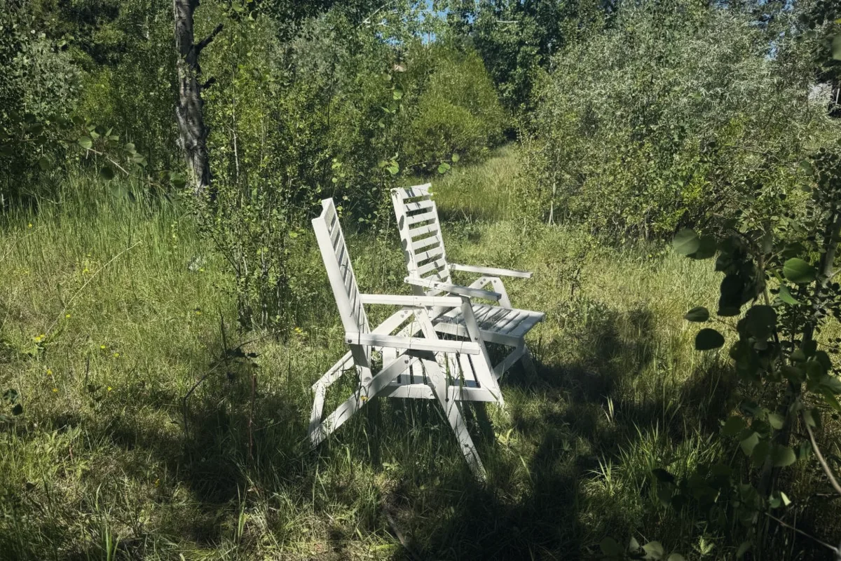 Two white wooden chairs in tall grass under aspen trees